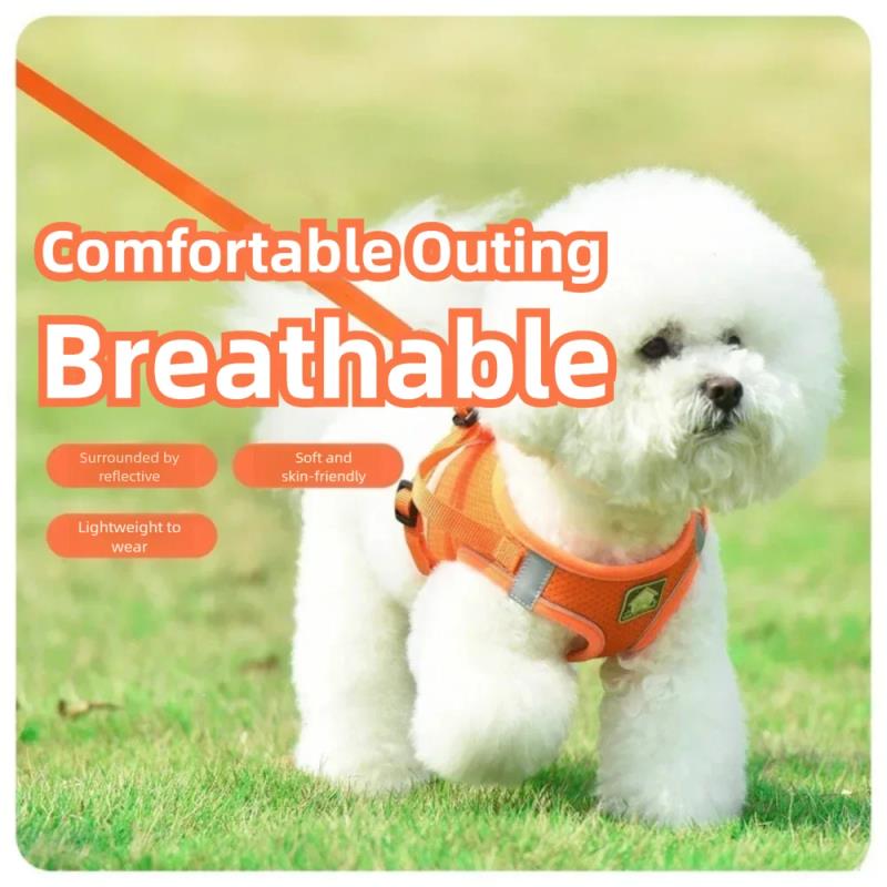 Pet Supplies Amazon - Pet Harness Reflective Ventilated Dog Vest