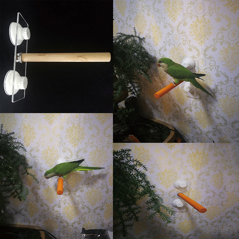 Parrot Pet Raw Standing Stick  - Pet X Supplies & Tack Grooming recensie en prijs