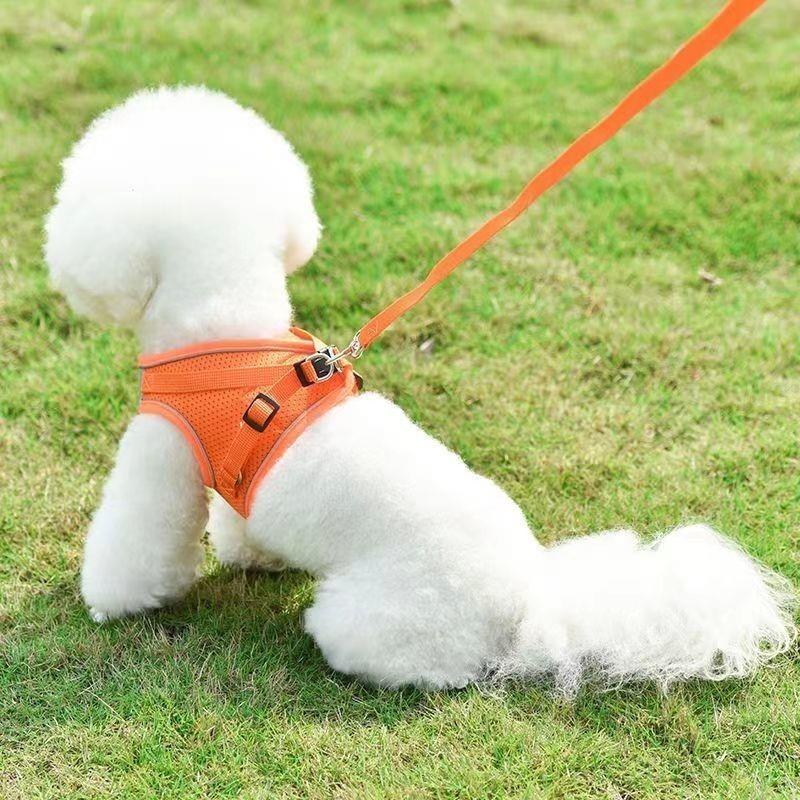 Pet Harness Reflective Ventila - Pet Supplies Amazon recensie en prijs