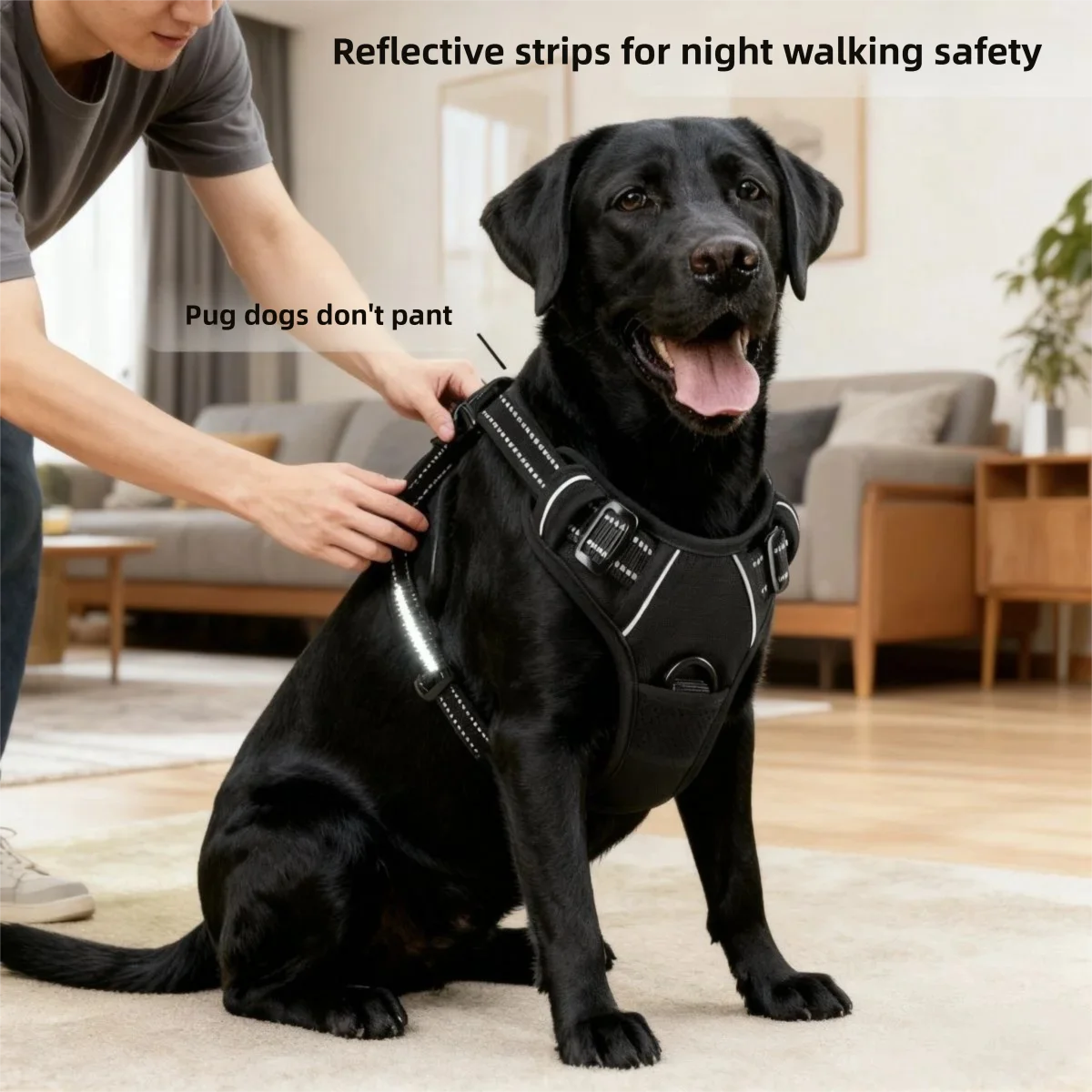 Dog Leash Pet Harness Nylon Do - Pet Supplies Amazon recensie en prijs