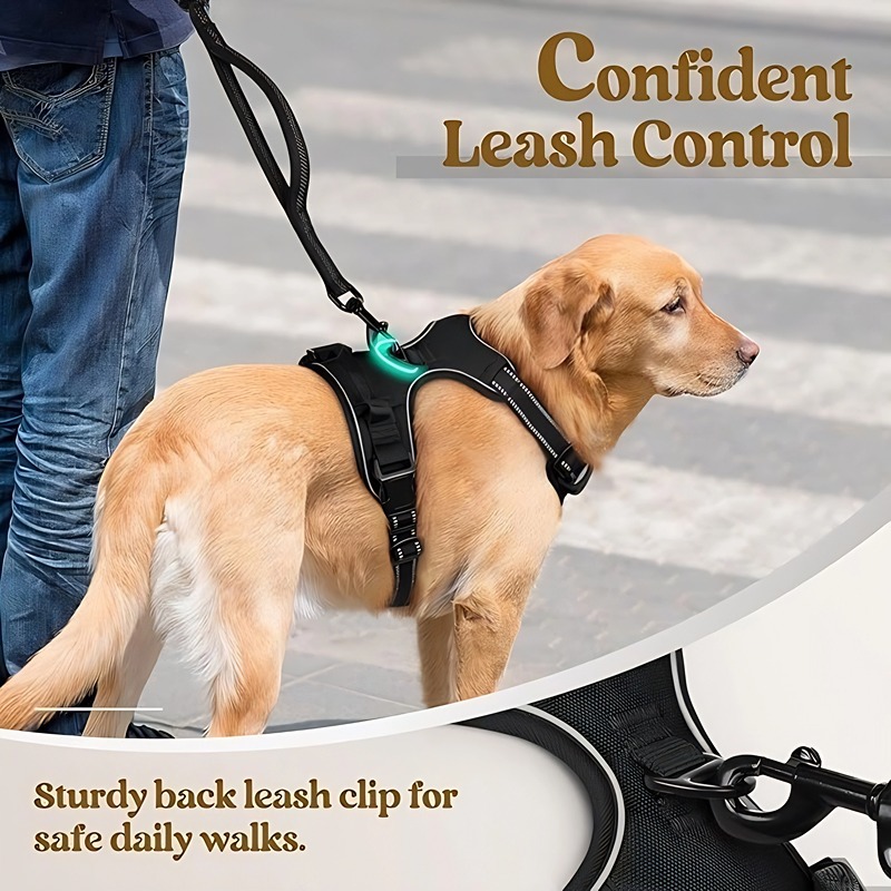 Dog Leash Pet Harness Nylon Do - Pet Supplies Amazon recensie en prijs