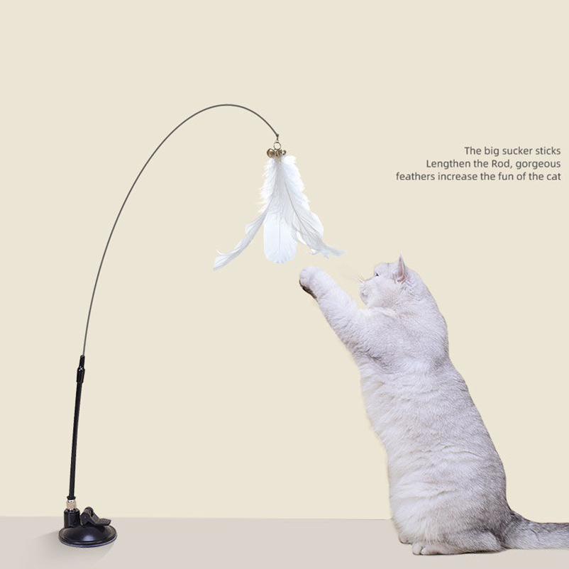 New powerful suction cat-teasi - Pet Supplies Amazon recensie en prijs