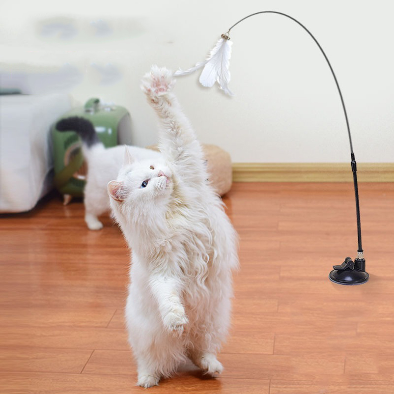 New powerful suction cat-teasi - Pet Supplies Amazon recensie en prijs