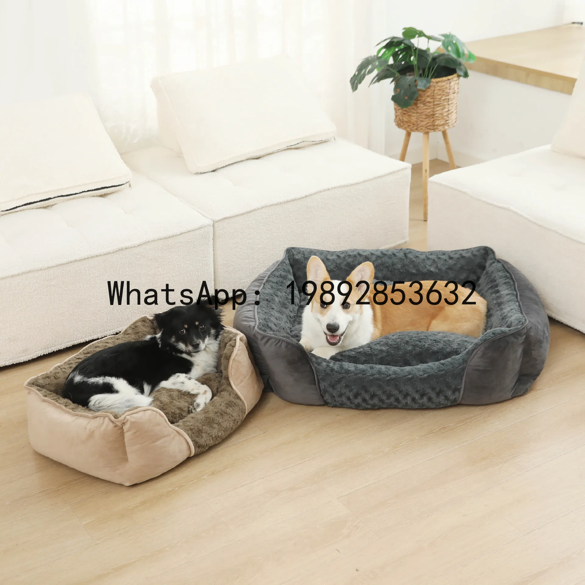 X cat house semi-enclosed dog  - Pet X Supplies & Tack Grooming recensie en prijs