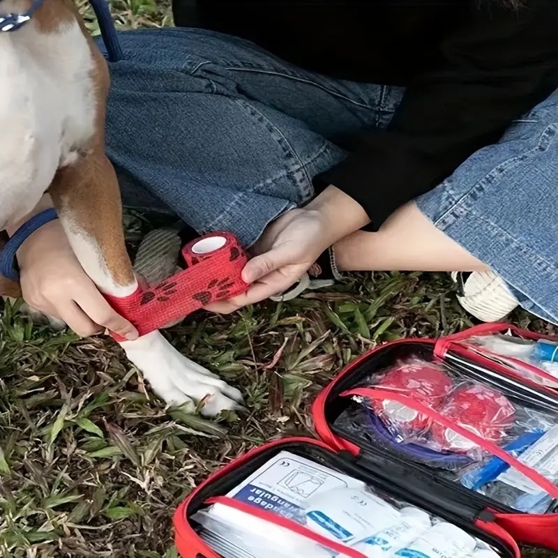 Compact pet First Aid kit for  - Pet Supplies First recensie en prijs