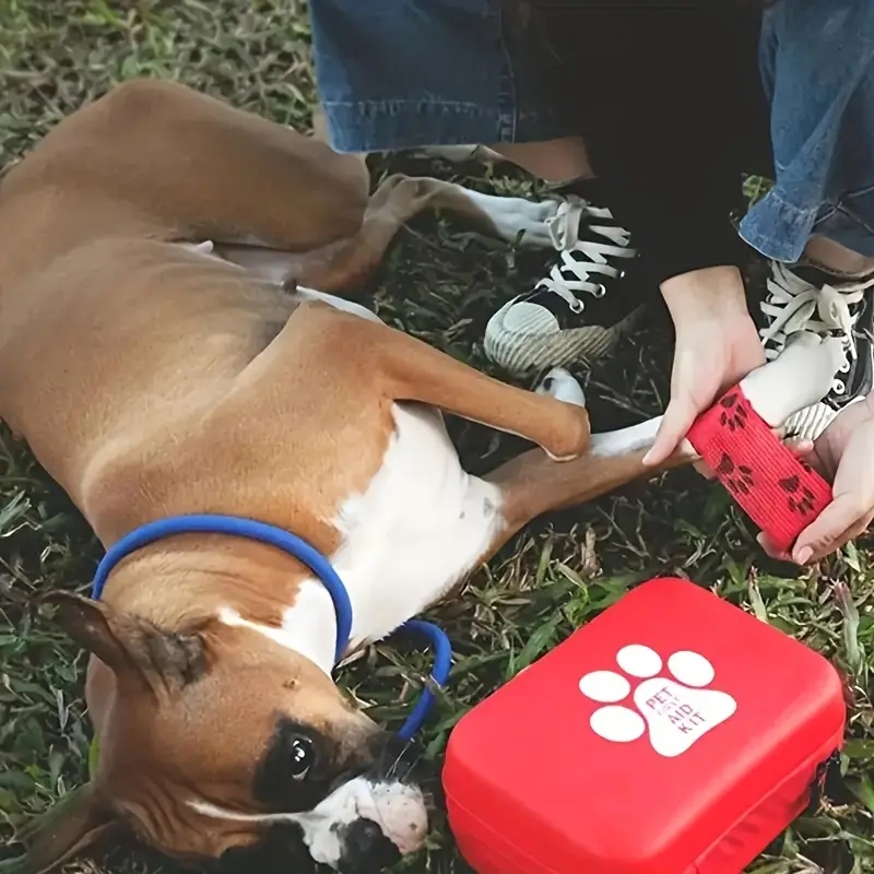Compact pet First Aid kit for  - Pet Supplies First recensie en prijs