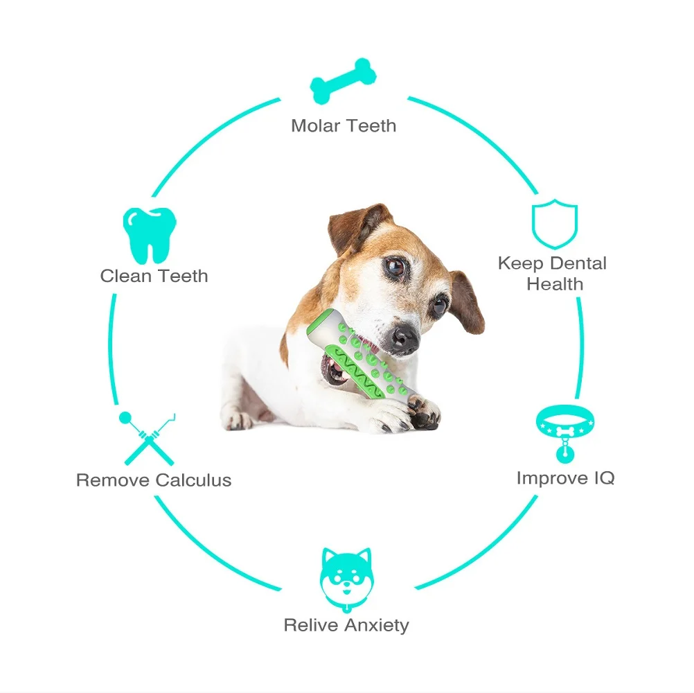 Pet Supplies Amazon Pop Dog To - Pet Supplies Amazon recensie en prijs