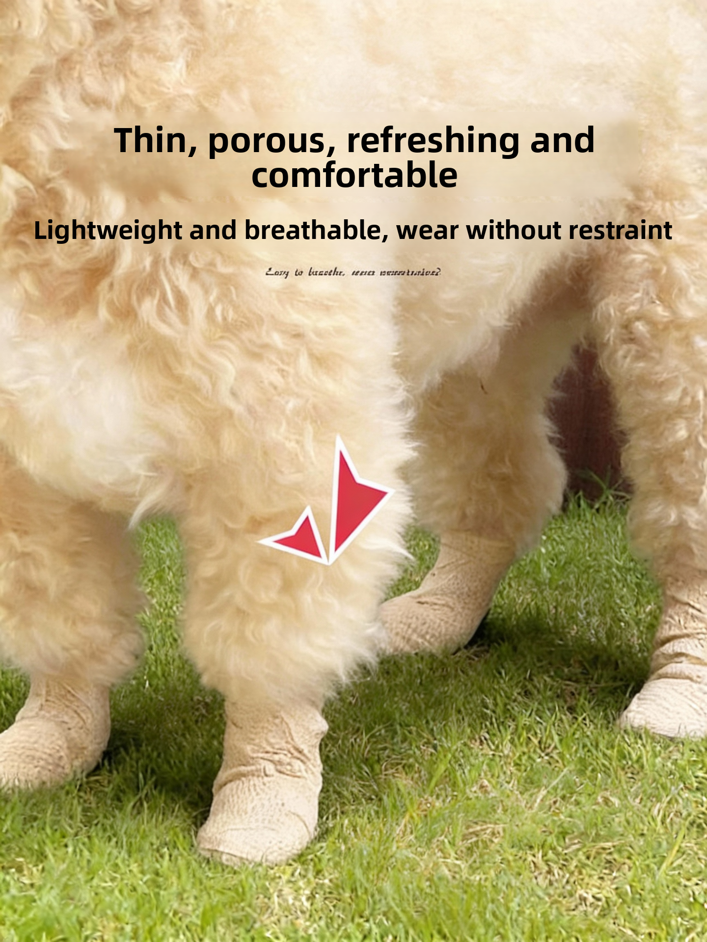 Anti-Slip Dog Foot Covers Disp - Pet Supplies For Dogs recensie en prijs