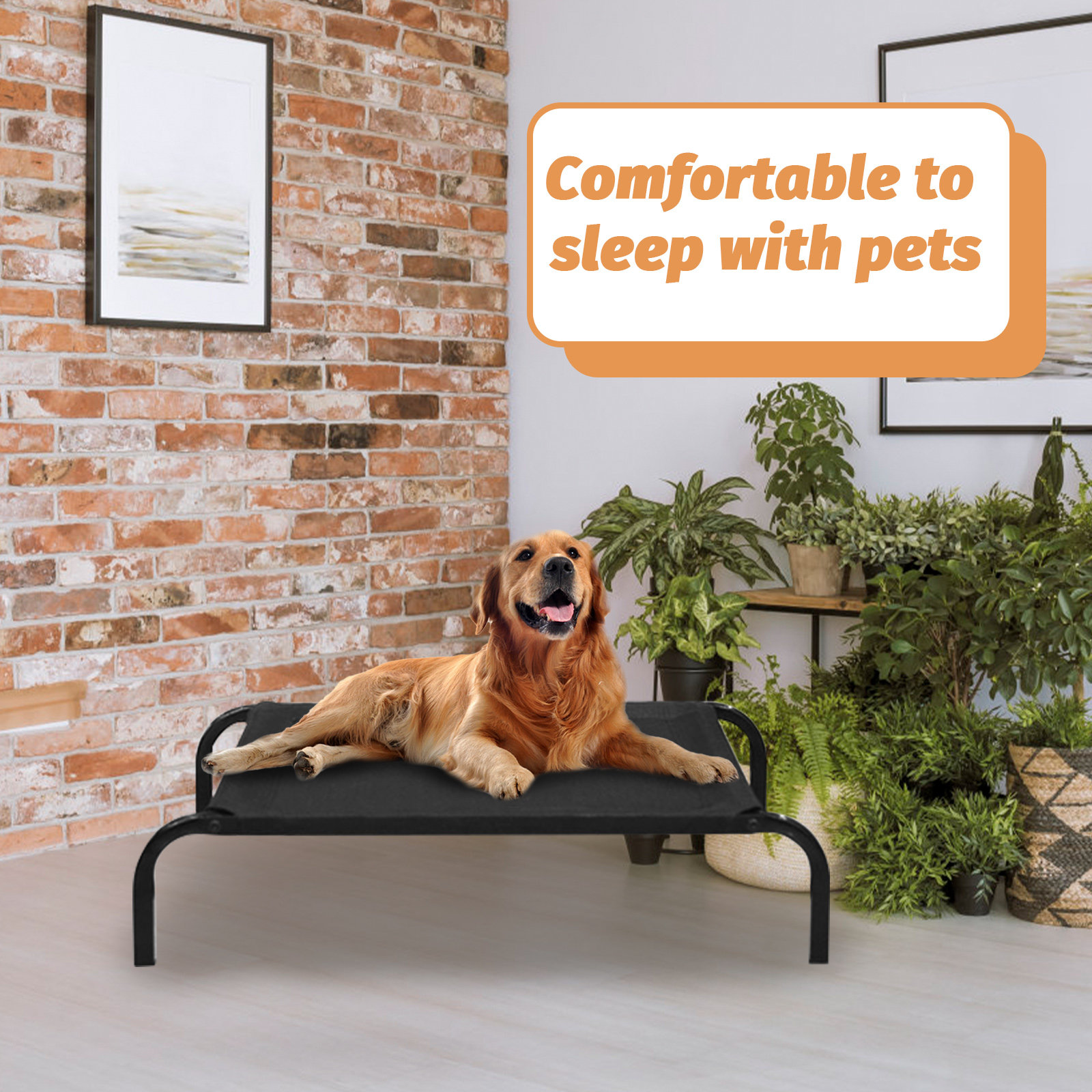 Pet Cot Dog Bed Mesh Breathabl - Pet Supplies For Dogs recensie en prijs
