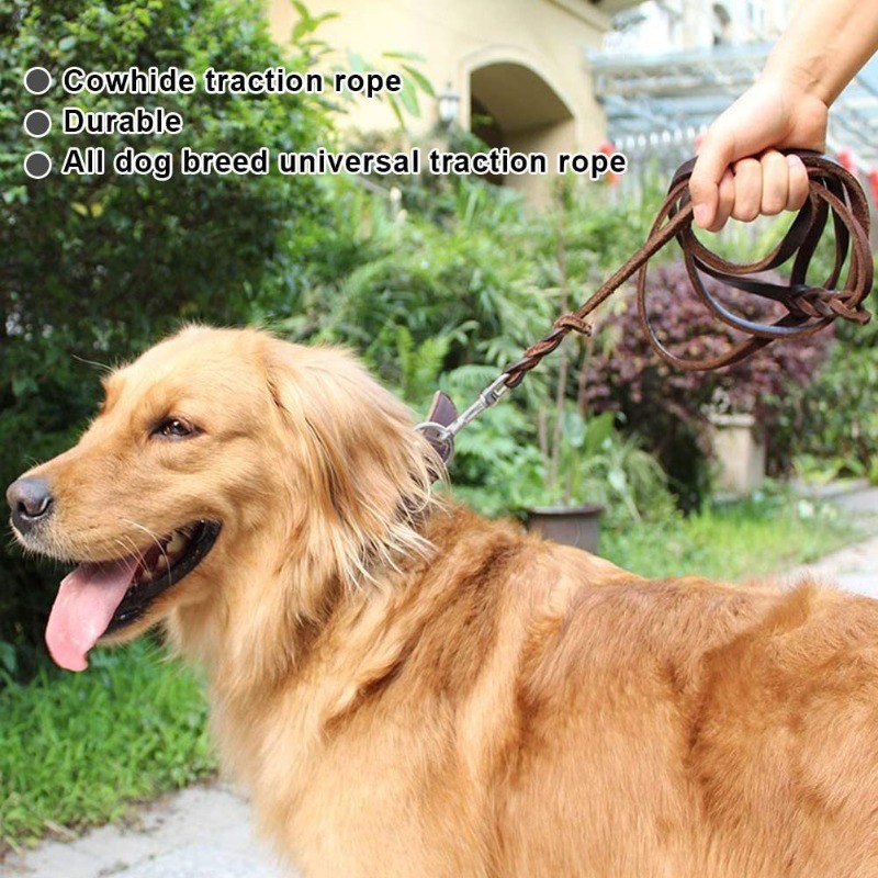 First layer cowhide leash Germ - Pet Supplies First recensie en prijs