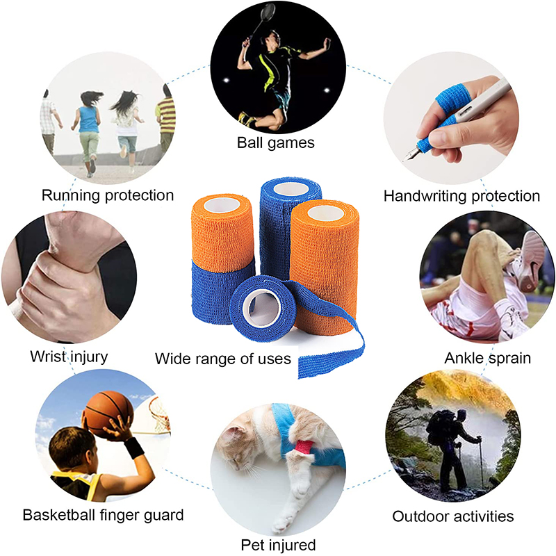 Pexmen 6Colors Self Adhesive B - Pet Supplies First recensie en prijs